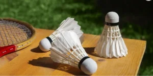 Hướng Dẫn Cách Chơi Cá Cược Cầu Lông BJ88 Thắng Lớn Nhanh Chóng