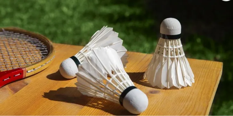 Hướng Dẫn Cách Chơi Cá Cược Cầu Lông BJ88 Thắng Lớn Nhanh Chóng 1 Hướng Dẫn Cách Chơi Cá Cược Cầu Lông BJ88 Thắng Lớn Nhanh Chóng