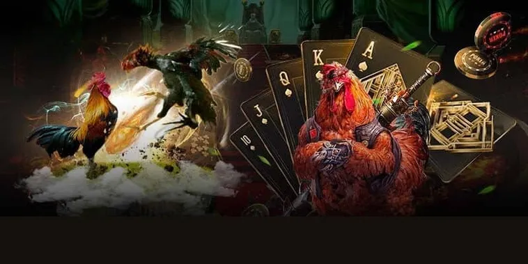 Hướng Dẫn Cách Chơi Đá Gà GA28 Tại BJ88 Thú Vị Cho Người Mới Bắt Đầu