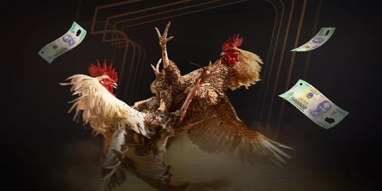 Đá Gà BJ88 Hấp Dẫn Người Chơi Với Trận Đấu Kịch Tính Hằng Ngày